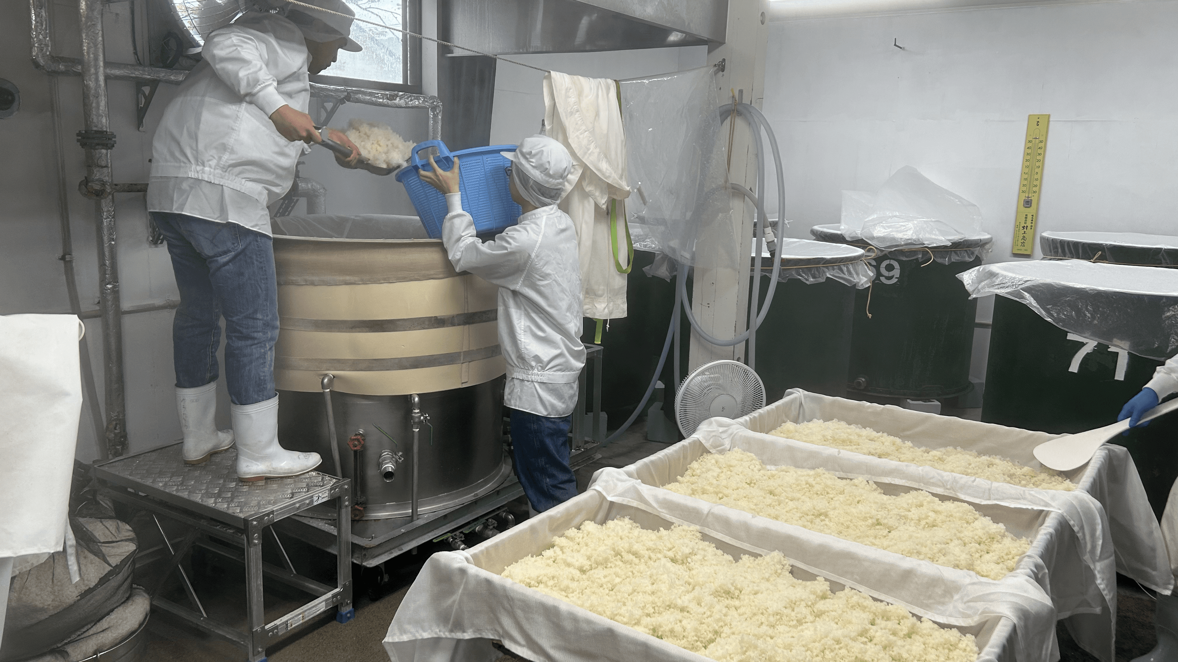 sake brewing process