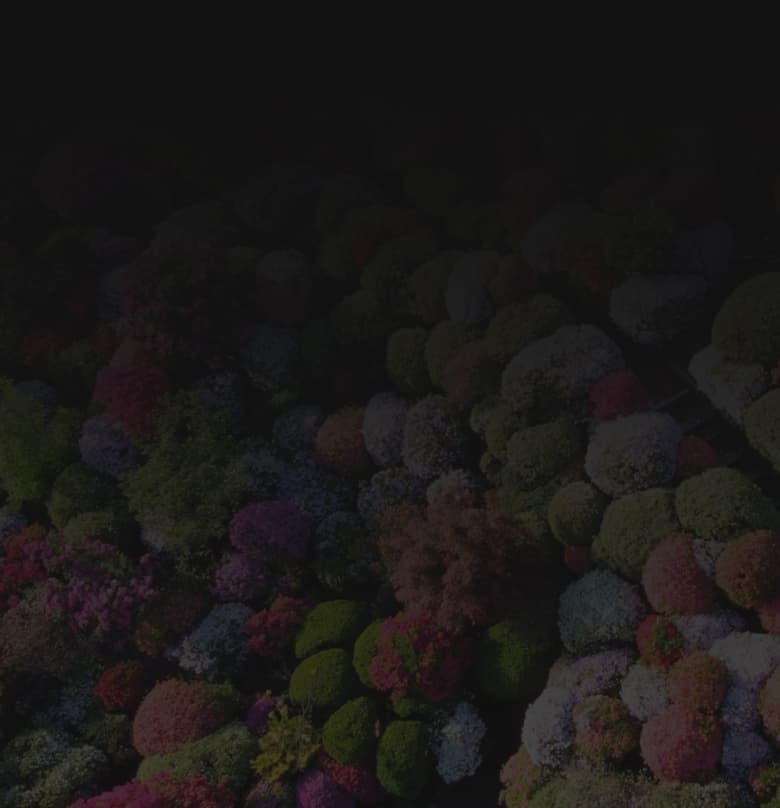 Service Background Bottom