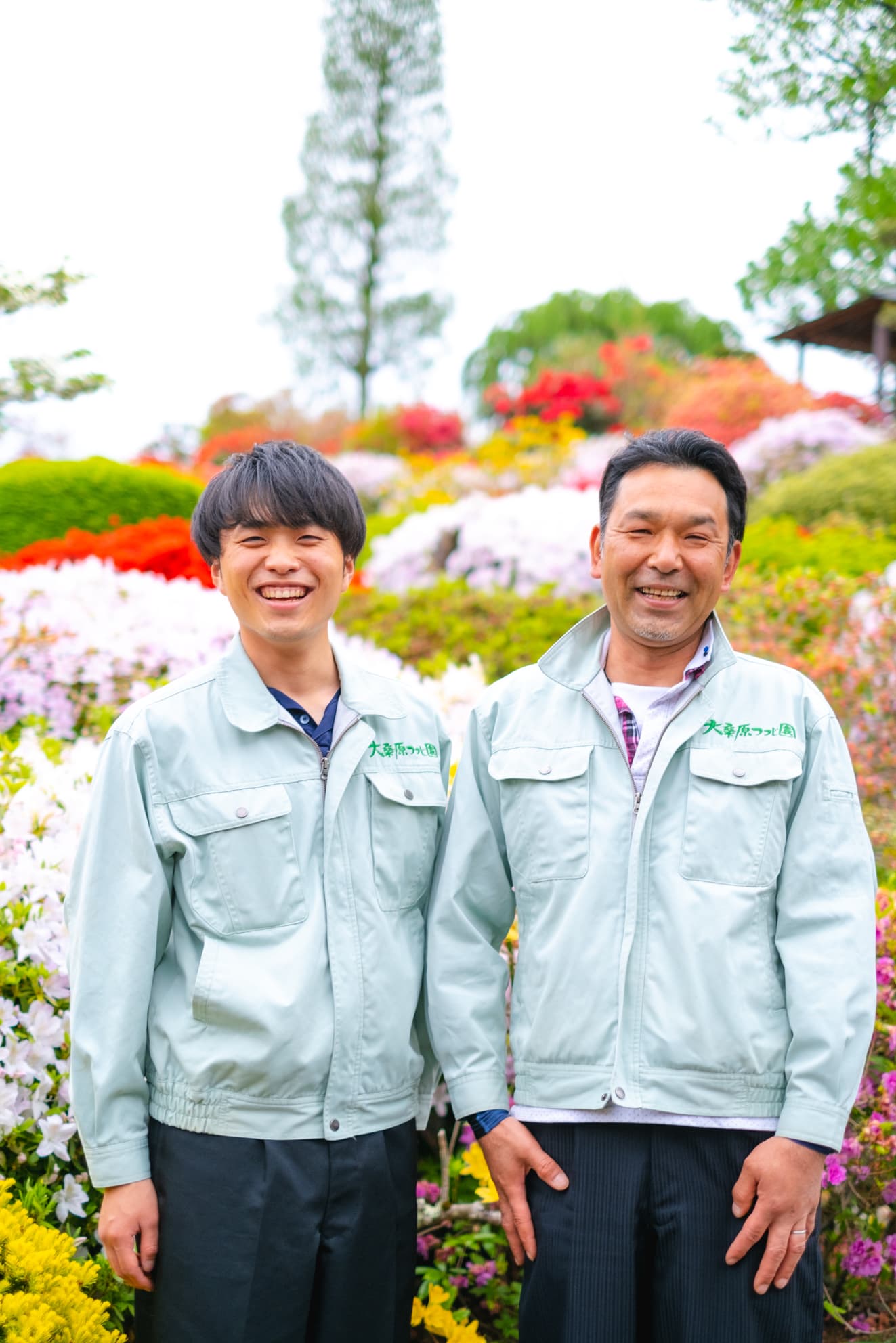 数100年歴史のある家業 - ツツジ園での作業風景