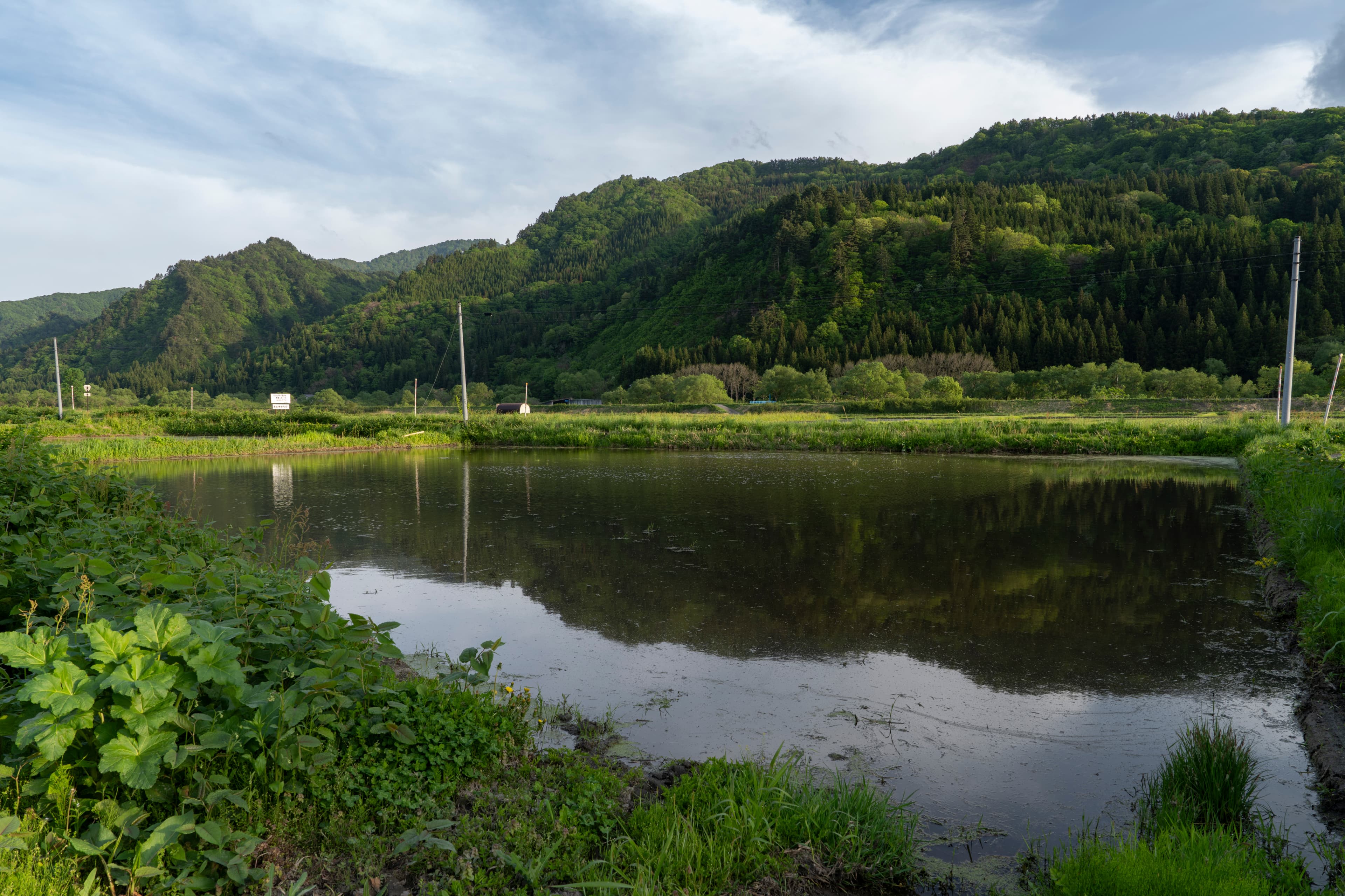 地元福島の自然豊かな風景