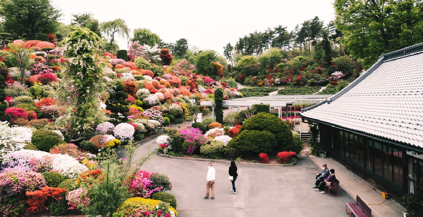 地域に根差す花酵母